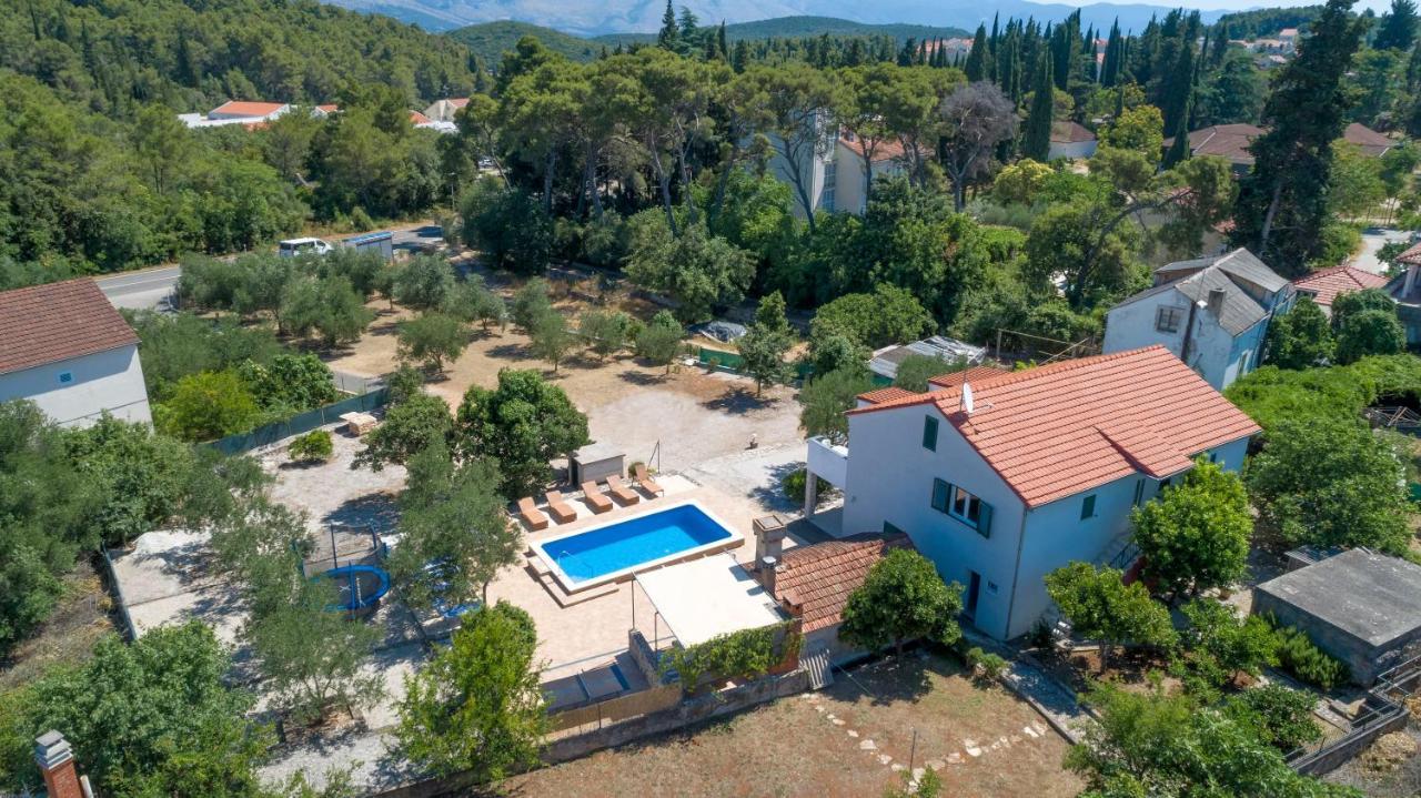 Villa Ivanka コルチュラ エクステリア 写真